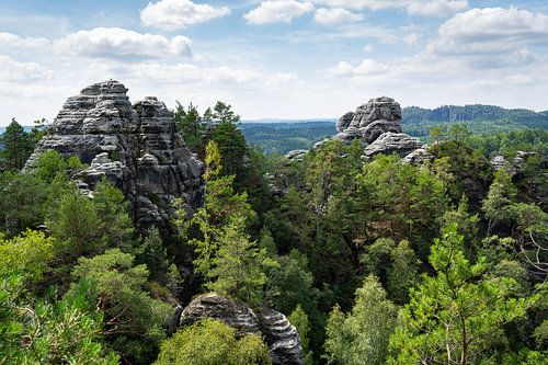 Bomen en zandsteenrotsen bij Rathen 1