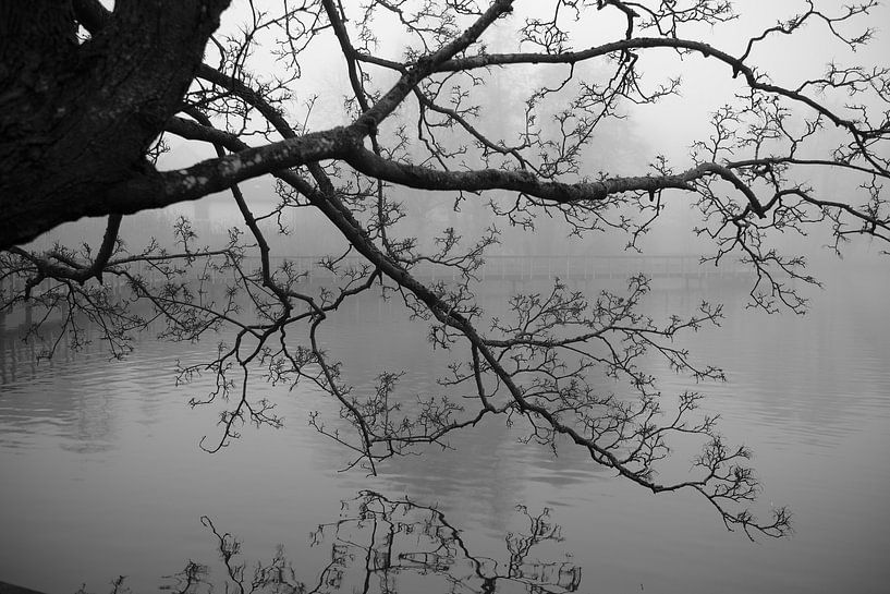 Bünde im Nebel IV | Steinmeister Park von Momentaufnahme | Marius Ahlers