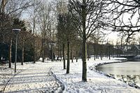 Parc sous la neige, un paysage hivernal