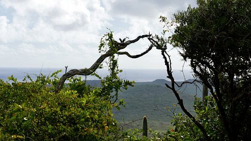 Saint Christopher Mountain Curacao