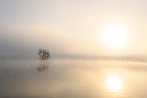 Nevel die opstijgt uit de IJssel tijdens een koude winterochtend
