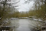 Eine Winterlandschaft in Zeeland von Nicolette Vermeulen Miniaturansicht