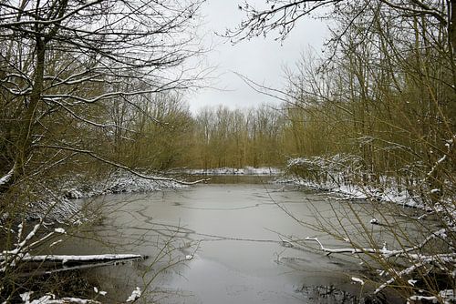 Een winterlandschap in Zeeland