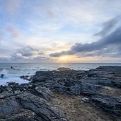 Ilse Broekmans Profile picture