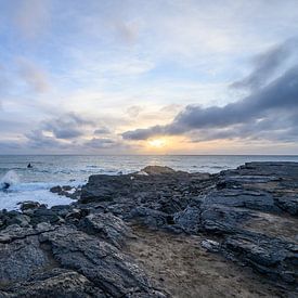 Ilse Broekmans Profile picture