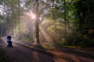 Breda Liesbos im Nebel