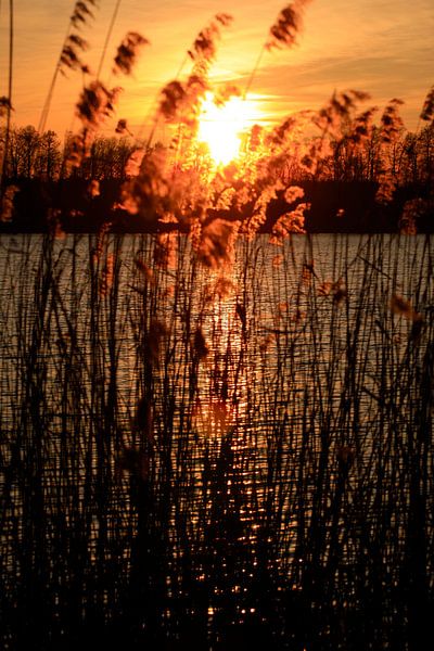 Winterabend Oberlausitz von Thomas Jäger