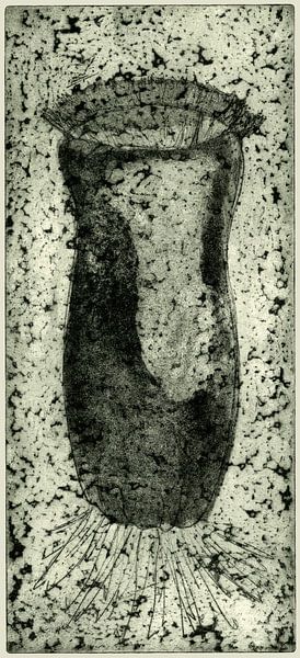 Candidat pour la banque de gènes 3, Gravure par Helga Pohlen - ThingArt