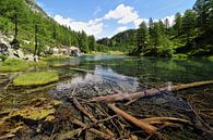 Lago delle Streghe - Piémont - Italie par Felina Photography Aperçu