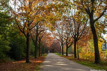 Nature reserve in autumn