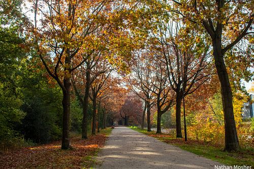 Nature reserve in autumn