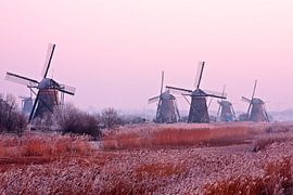Traditionele molens op een koude winterdag bij Kinderdijk in Nederland by Eye on You