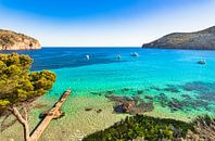 Idyllisch zeezicht aan de kustlijn op het eiland Mallorca van Alex Winter thumbnail