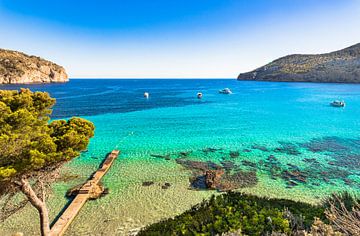 Idyllisch zeezicht aan de kustlijn op het eiland Mallorca van Alex Winter