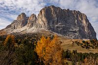 Dolomiti - Sassolungo