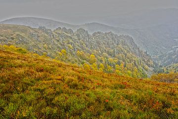Vogezen gebergte in de nevel met herfstkleuren van Jos van den berg