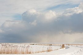 Ameland landscape in the snow