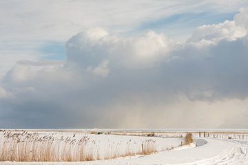 Ameland Landschaft im Schnee von Nicole Nagtegaal