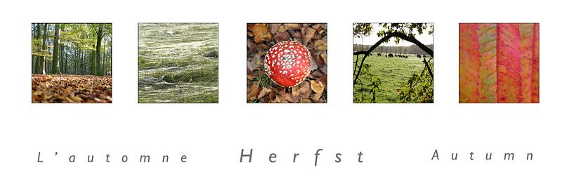 Panorama herfst by Karin Hendriks Fotografie