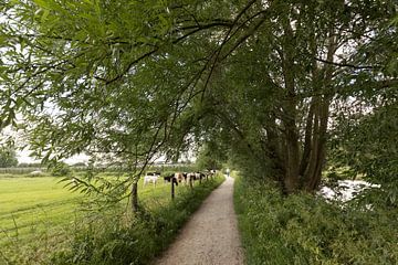 Het jaagpad bij Amelisweerd by Marijke van Eijkeren