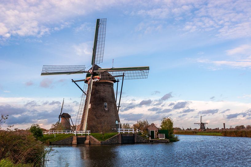 Windmühlen in der Nähe von Kinderdijk (Holland) von Adri Vollenhouw