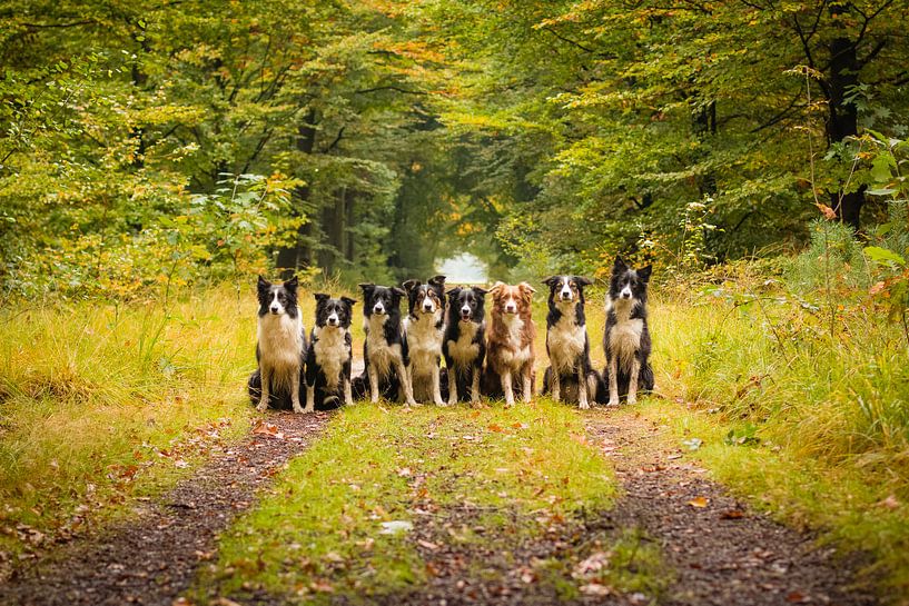 Groepsfoto Borderbende par Pieter Bezuijen
