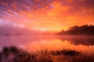 Sunrise Lake Harris, America by Frank Peters thumbnail