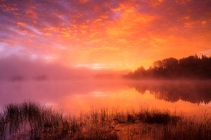 Zonsopgang Lake Harris, Amerika van Frank Peters