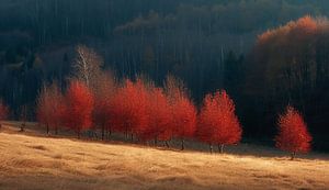 Herbstliche Berglandschaft