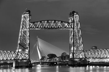 Rotterdam, De Hef, Erasmusbrücke, De Zwaan.