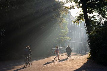 Fietsers, wandelaars en een mooie ochtendzon in het Wilhelminapark in Utrecht van Michel Geluk