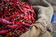 Red peppers by Sylvia Fransen thumbnail