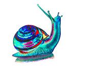 Snail