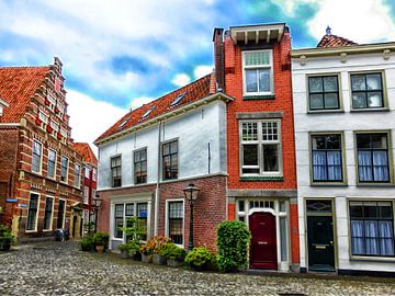 Het smalste huis van Leiden? van Jessica Berendsen