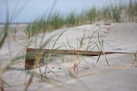 Unter dem Sand