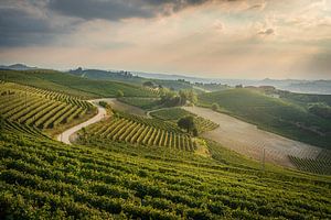 Kurvenreiche Straße durch die Langhe-Weinberge