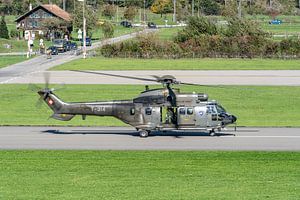 Schweizer Eurocopter AS 532UL Cougar (T-314).