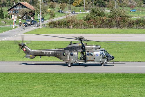 Swiss Eurocopter AS 532UL Cougar (T-314).