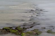Fließendes Wasser über Steine in einem Fluss von Leo Luijten Miniaturansicht