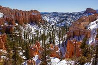 Bryce-Canyon-Nationalpark im Winter, Utah, Vereinigte Staaten von Discover Dutch Nature Miniaturansicht