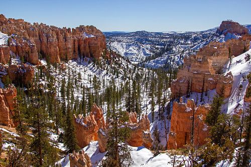 Bryce Canyon National Park in de winter, Utah, Verenigde Staten