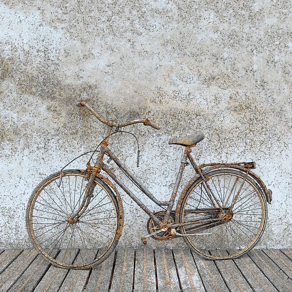 Rusty bike by Steve Van Hoyweghen