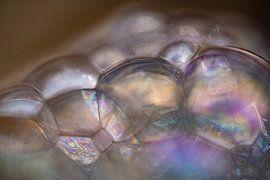 The Colourful Depths of Sea Foam by Nanda Bussers