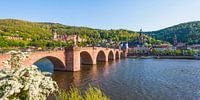 Oude brug en het kasteel in Heidelberg van Werner Dieterich thumbnail