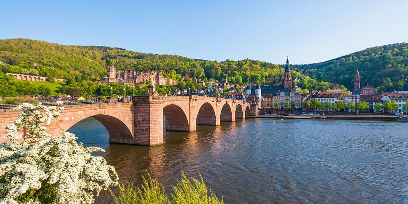 Oude brug en het kasteel in Heidelberg van Werner Dieterich
