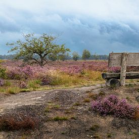 Avant la tempête de pluie sur Paul Lagendijk