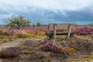 Avant la tempête de pluie sur Paul Lagendijk