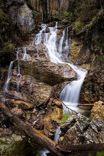 Bij de Lainbachwaterval, de waterval in het bos -de waterval in het bos - la cascade dans la foret
