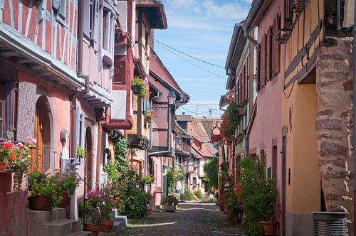 Elzas, Frankrijk (2017)