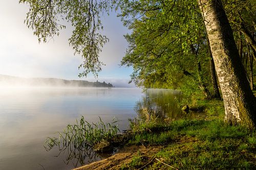 Foggy Lac de Settons in Burgundy
